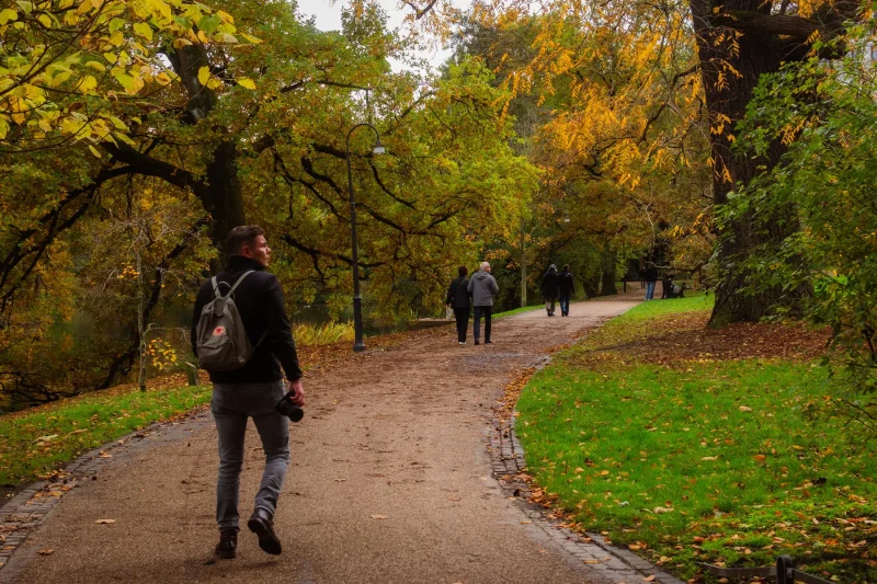 Lijnpark 2