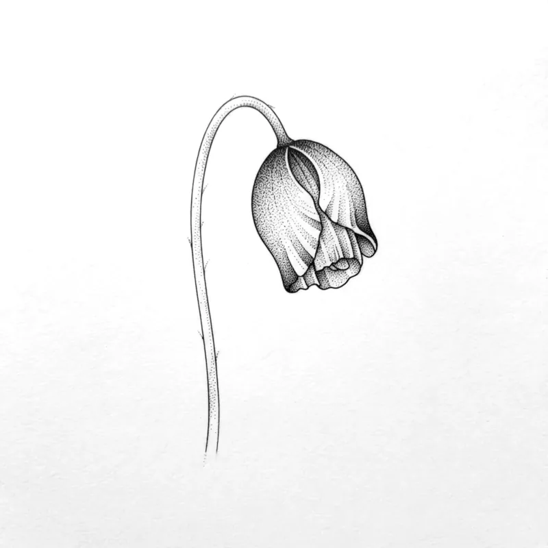 Drooping bud, 9 cm