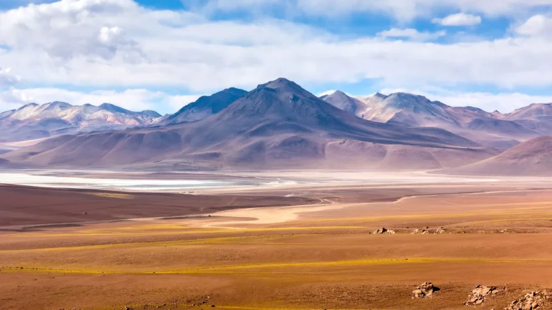 1988 · Atacama
