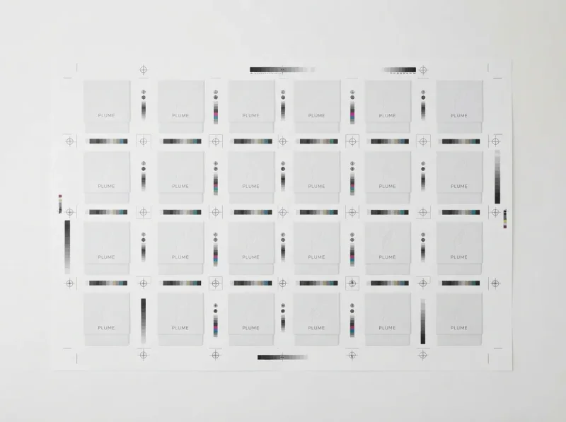 Plume 09