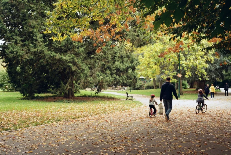Lijnpark 6