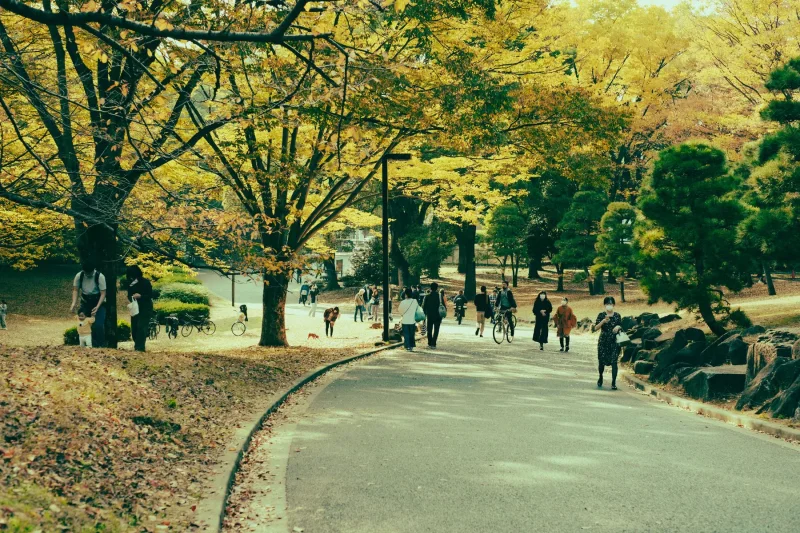 Parks