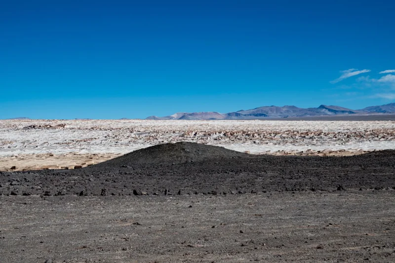 1988 · Atacama