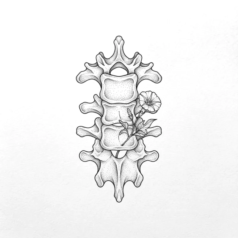 Three vertebrae, 9 cm