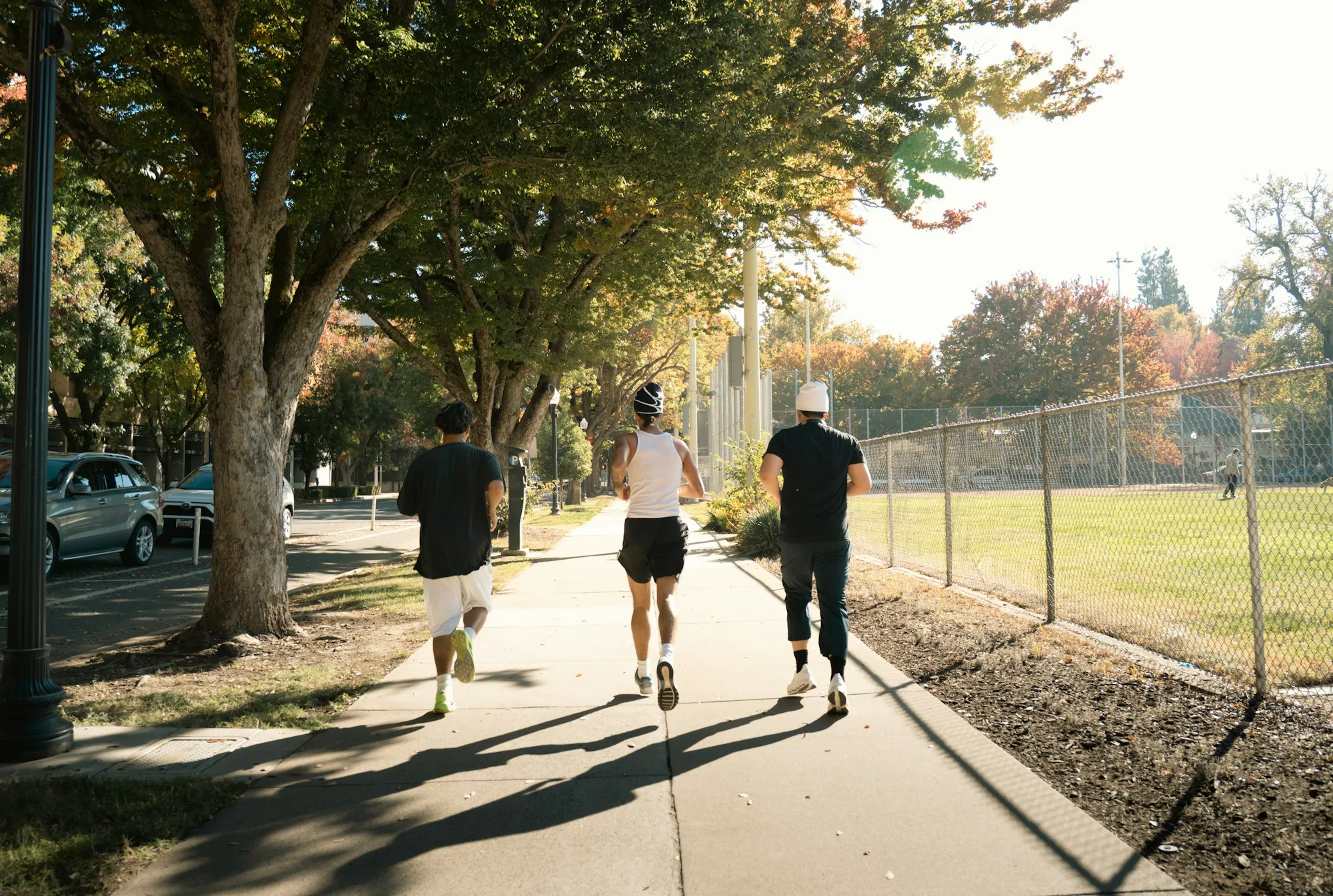 Three runners setting off along a tree-lined sidewalk in the early morning