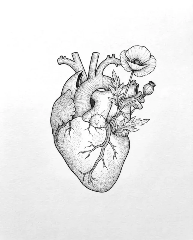 Anatomy 01