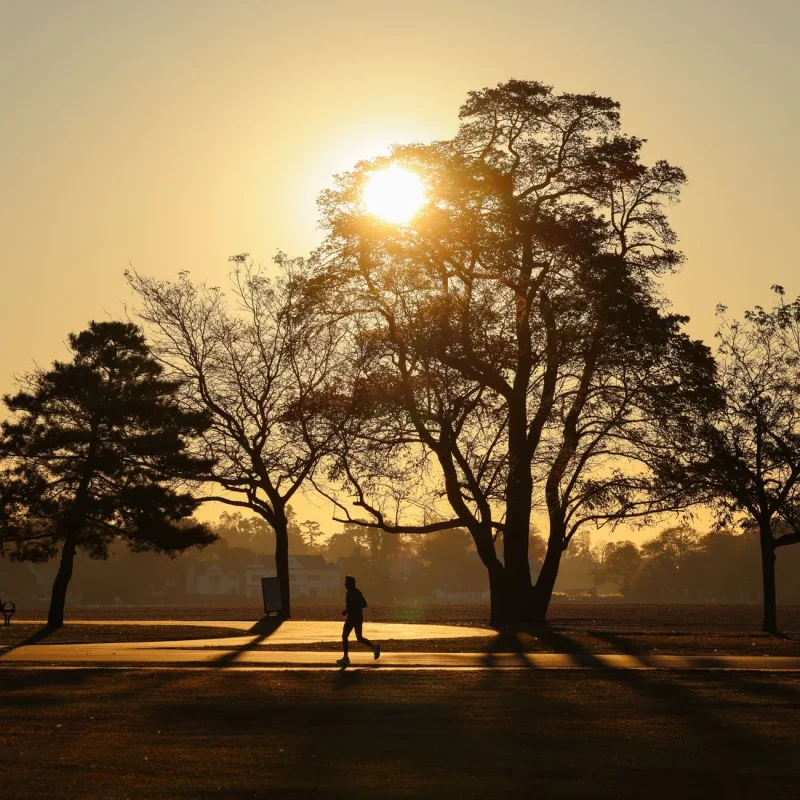 Sunrise at Cove, week one