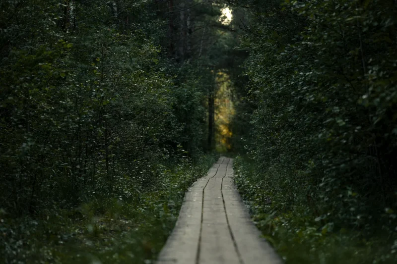 Dusk on the greenway