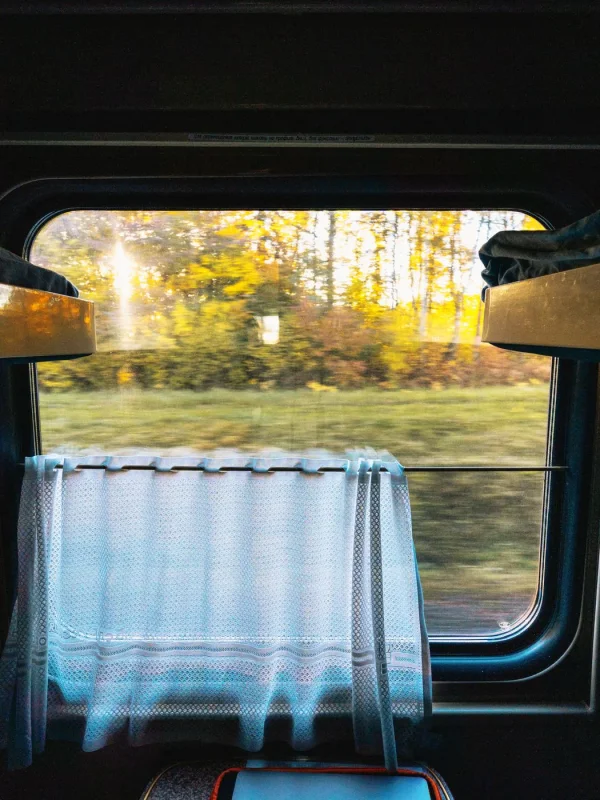 strip-2-night-train